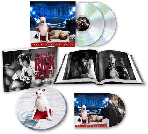 Rick Springfield - Big Hits: Rick Springfield's Greatest Hits Vol. 2