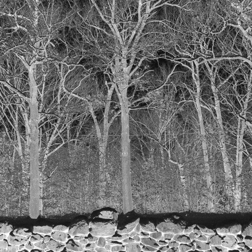 Pile - Sunshine And Balance Beams - Cassette