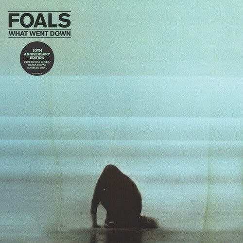 Foals - What Went Down - Marble Vinyl - 10th Anniversary Edition
