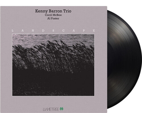 Kenny Barron Trio - Landscape - Music On Vinyl