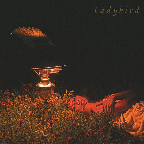 Orca - Ladybird