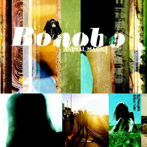 Bonobo - Animal Magic - Cassette - Yellow Shell