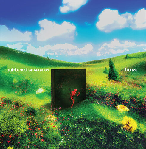 Rainbow Kitten Surprise - bones - Banana Colored Vinyl