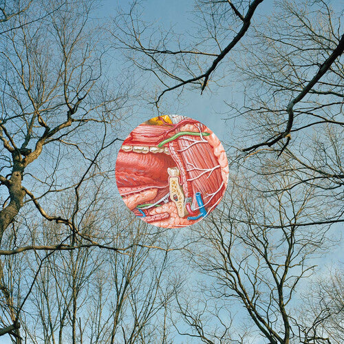 They Might Be Giants - Glean - Clear with Red Whisps Vinyl