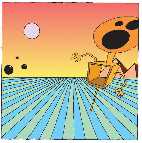 The Dismemberment Plan - Emergency & I - Orange Vinyl