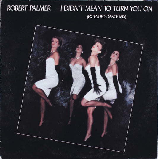 Robert Palmer - I Didn't Mean To Turn You On (Extended Dance Mix) - Used