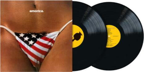The Black Crowes - Amorica