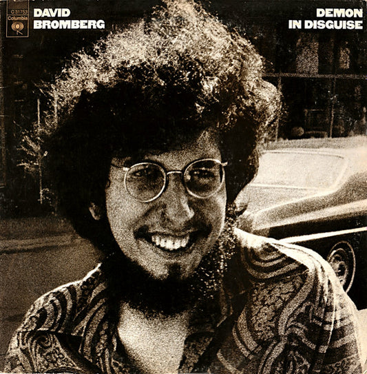 David Bromberg - Demon In Disguise - Used