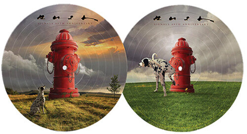 Rush - Signals - 40th Anniversary - Picture Disc