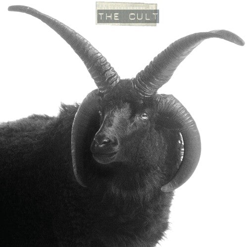 The Cult - The Cult - White