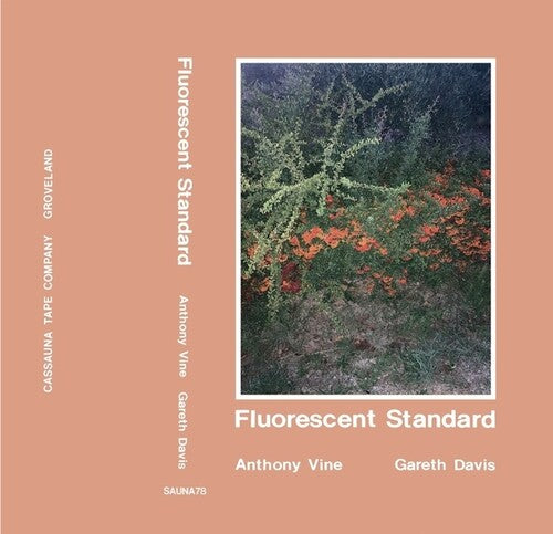 Anthony Vine And Gareth Davis - Fluorescent Standard - Cassettes