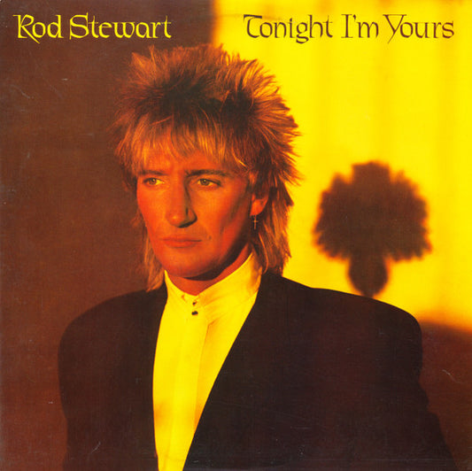 Rod Stewart - Tonight I'm Your's - Used